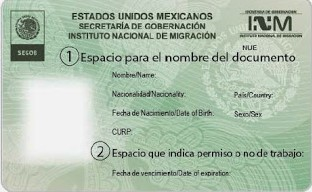 Immigration Support Services in San Carlos, Sonora Mexico